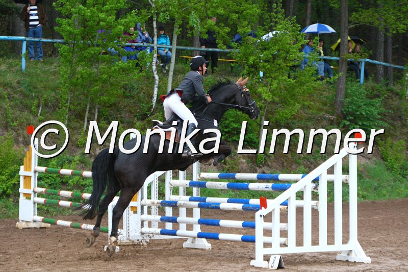 005L5250_Power Man_Spring M mit Stechen.JPG